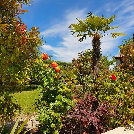 La Cabane Du Pesquier En Provence Caumont-sur-Durance Экстерьер фото