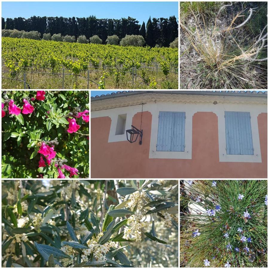 La Cabane Du Pesquier En Provence Caumont-sur-Durance Экстерьер фото